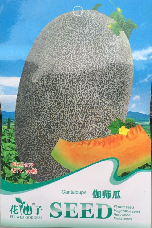 Big Cantaloupe Sweet Muskmelon Organic Seeds 10 Seeds Sweet Fruit Plant ... - $7.08