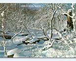 Winter Landscape Greetings From Christmas Michigan MI UNP Chrome Postcar... - £2.33 GBP