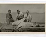 Thursday Island 3 Men and a Shark Real Photo Postcard Queensland Austral... - £29.75 GBP