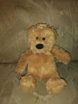 Koala Baby Teddy Bear Plush 8&quot; Rattle Beanbag Lovey Infant Baby Toy Soot... - £10.30 GBP