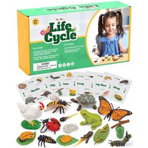 Life Cycle Kit Montessori - Realistic Figurine Toys, Kids Animal Match Set With  - £50.07 GBP