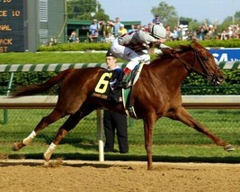 Funny Cide 8X10 Photo Horse Racing Picture Jockey - £3.89 GBP