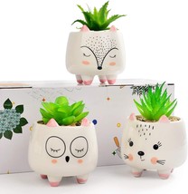 3 Assorted Small Artificial Succulents Potted With White Porcelain Fox Pots Fake - £29.01 GBP