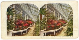 c1900&#39;s Colorized Stereoview The White House Conservatory in Washington DC - £7.46 GBP