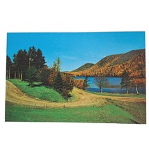 Postcard Provincial Picnic Site At Lake O&#39;Law Cape Breton Nova Scotia Ca... - £5.42 GBP