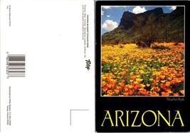 Arizona Picacho Peak Poppies Blanket Yellow Flowers by Mountainside VTG ... - $9.40