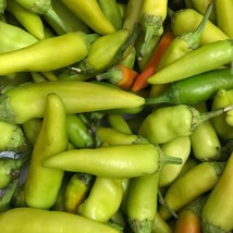 Pepperoncini Italian Pepper Seeds 25+ Mild Vegetable NON-GMO Heirloom   - £3.10 GBP