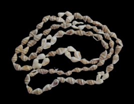 Small Off White Beige Brown Seashell Beach Ocean Necklace Long Pullover Jewelry - £7.11 GBP