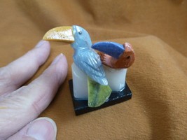 (Y-BIR-TO-472) pair of Toucans blue + tan bird gemstone STONE gem Peru t... - $334.80 MXN