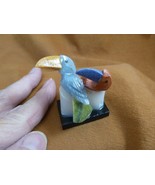(Y-BIR-TO-472) pair of Toucans blue + tan bird gemstone STONE gem Peru t... - $334.55 MXN