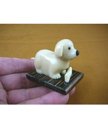 (tn-dog-610) baby DOG puppy TAGUA NUT Figurine Carving Vegetable love do... - €13,05 EUR