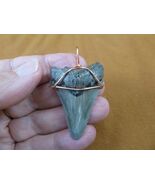 (S241-56) big 1-7/8&quot; Fossil MEGALODON Shark Tooth copper wired pendant J... - $788.61 MXN