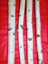 4 large white birch poles 4&#39; rustic natural decor, crafts, christmas, weddings - £49.71 GBP