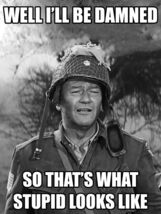 John Wayne That's What Stupid Looks Like Humor Metal Sign - $39.95