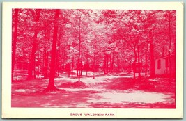 Grove Waldheim Park Allentown Pennsylvania PA UNP Chrome Postcard G10 - £5.41 GBP