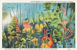 Silver Springs Florida~The Sunken FOREST-SEEN Through Glass BOATS~1920s Postcard - £9.01 GBP