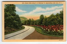 Canna Lilies Flowers Along US Highway 74 Lake Lure North Carolina Postcard Linen - £5.96 GBP