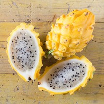 Dragon Fruit Yellow Seeds Pack Choose 50/200/350 Fresh Seeds - £12.00 GBP