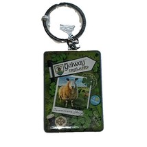 Galway Ireland Sheep Souvenir Keychain Irish Collectible Clover Gift - $8.83