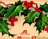 Vtg Postcard 1910 &quot;A Merry Christmas&quot; Tuck&#39;s &quot;The Holly&quot; no 508 Embossed - $5.89