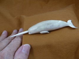 Whale-w85 little Narwhal Whale of shed ANTLER figurine Bali detailed sea... - $172.96