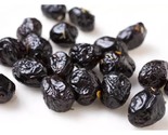 10+ Beldi Olive Seeds – Premium Moroccan Black Olive Variety - $16.50
