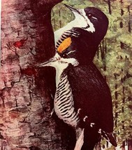 Arctic Three Toed Woodpecker 1936 Bird Art Lithograph Color Plate Print ... - £19.10 GBP