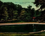 Scene in Water Works Park Sewickley Pennsylvania PA 1911 DB Postcard - $4.90
