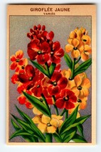 1920&#39;s Flower Seed Art Print GIROFLEE JAUNE Lithograph Original Vintage Unused - £10.09 GBP