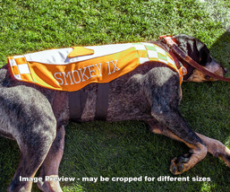 UT Tennessee Vols Smokey Mascot Bluetick Coonhound Photo Volunteers 1230 8x10+ - £19.65 GBP+