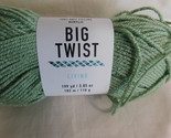 Big Twist Living Sage Dye Lot 191982 - $5.99