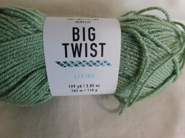 Big Twist Living Sage Dye Lot 191982 - £4.77 GBP