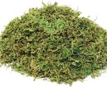 Greenery Moss (4 Oz) Fake Artificial Moss For Potted Plants Fairy Garden... - $32.99