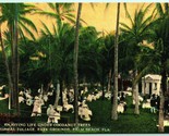 Enjoying Life Under Cocoanut Alberi Palma Spiaggia Florida Fl 1918 DB Ca... - $10.22
