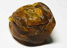 Genuine Baltic Amber Stone Amber Gemstone  Collector  Piece Amber - £98.92 GBP