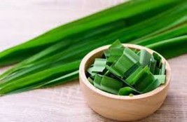Pandan Leaf Extract – Natural Fresh Scent, Skin Relief, Anti-Dandruff Ha... - $14.85