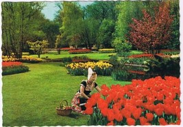 Netherlands Holland Postcard Tulip Gardens Dutch Costume - £2.32 GBP