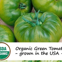 New Fresh USA Seller 10 Organic Cherokee Green Tomato Vegetable Seeds - $13.96