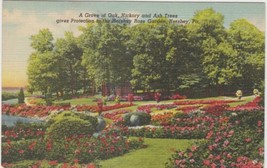 Hershey Pennsylvania PA Postcard Grove Oak Hickory Ash Trees Rose Garden Unused - £2.37 GBP