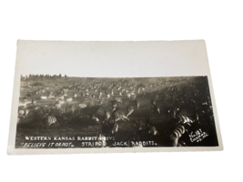 Vintage Exaggeration Chrome Kodak Postcard Unused &quot;Striped Jack Rabbits&quot; Kansas - £27.51 GBP