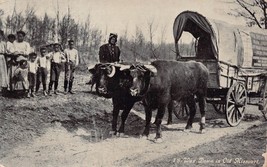 Oregon Trail ~ Ezra Meeker Beef Low Road Car in Old Missouri ~1910 Postcard-
... - £8.35 GBP