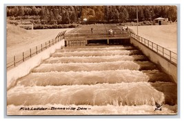 RPPC Pesce Scala Bonneville Dam Columbia Fiume Oregon O Cartolina M20 - £2.37 GBP