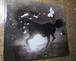 TRAILS, TALES AND TRANSFORMATIONS. Retrospective Photos Lucinda Bunnen S... - $25.23
