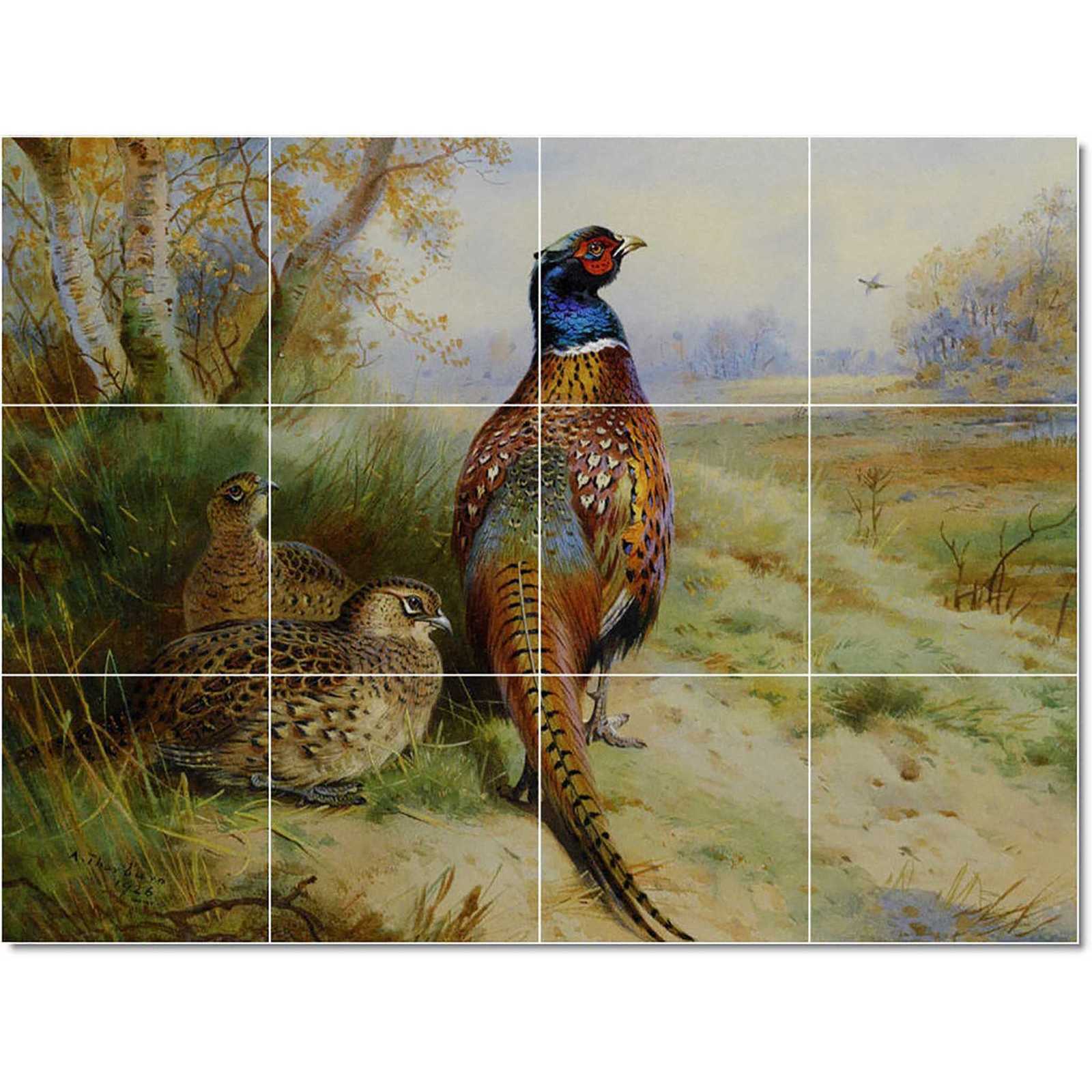 Thorburn archibald cock and hen pheasent at the edge of a wood 1926 watercolor and gouache