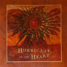 Andy Hill &amp; Renee Safier &amp; Hard Rain- Hurricane Of The Heart (CD 2007) Near MINT - £5.70 GBP