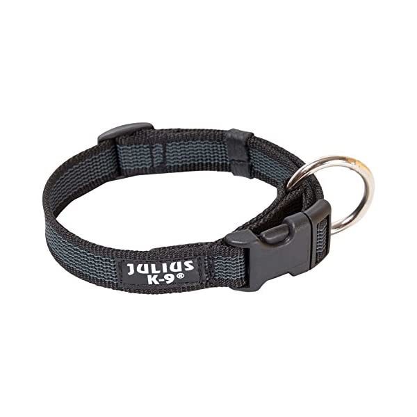 JULIUS-K9 220CG Color &amp; Gray Collar, 20mm*27-42 cm, black-gray  - $17.00