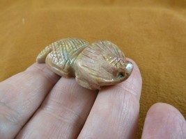 Y-LIZ-HL-21) baby tan red Horned LIZARD carving SOAPSTONE Peru FIGURINE ... - £6.88 GBP