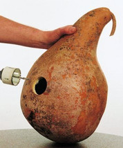 US Seller 20 Seeds Gourd Martinhouse Bottle Huge Decorative Bird Lovers - £8.82 GBP