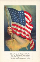 World War 1-PATRIOTIC U S Flag Of LIBERTY-STARS &amp; Stripes Are Here Stay~Postcard - £7.91 GBP
