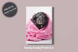 Artisan PRINTABLE wall art, Guinea Pig wrapped in pink blanket Print, Download - £2.78 GBP